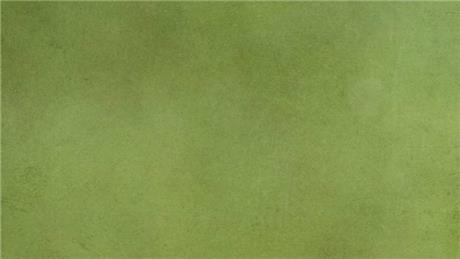 Banner Picture